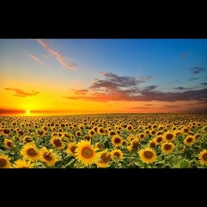 Meet your Posher, Marta